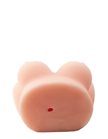 LA CHICA DE AL LADO LISA