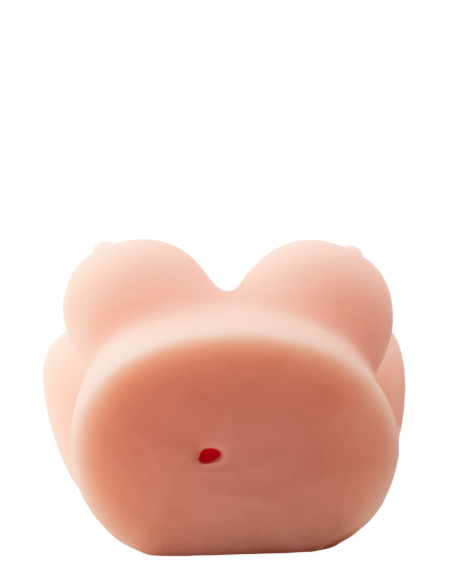 LA CHICA DE AL LADO LISA