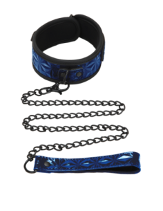 COLLAR Y CORREA WHIPSMART DIAMOND AZUL 2