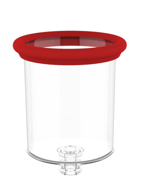 REVOLUCIÓN ROJA GEORGIA