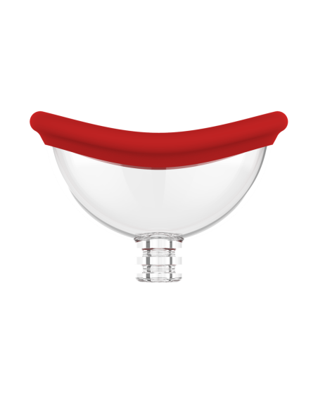 REVOLUCIÓN ROJA GEORGIA