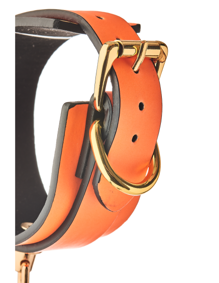 ESPOSAS RADIANTES QUE BRILLAN EN NARANJA OSCURO