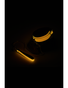 COLLAR Y CORREA RADIANTE QUE BRILLAN EN NARANJA OSCURO 2