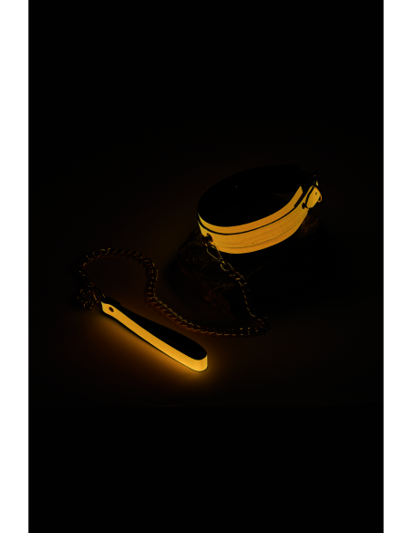 COLLAR Y CORREA RADIANTE QUE BRILLAN EN NARANJA OSCURO