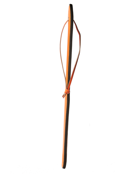 PALETA RADIANTE QUE BRILLA EN NARANJA OSCURO