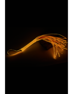 LÁTIGO RADIANTE QUE BRILLA EN EL NARANJA OSCURO 2