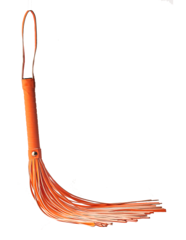 LÁTIGO RADIANTE QUE BRILLA EN EL NARANJA OSCURO