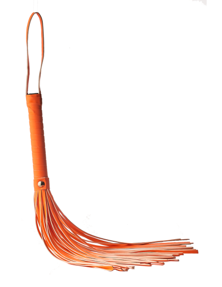 LÁTIGO RADIANTE QUE BRILLA EN EL NARANJA OSCURO