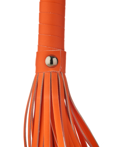 LÁTIGO RADIANTE QUE BRILLA EN EL NARANJA OSCURO