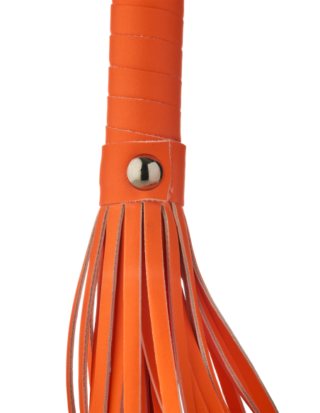LÁTIGO RADIANTE QUE BRILLA EN EL NARANJA OSCURO