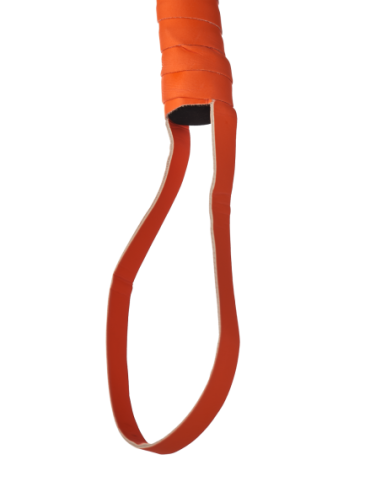 LÁTIGO RADIANTE QUE BRILLA EN EL NARANJA OSCURO