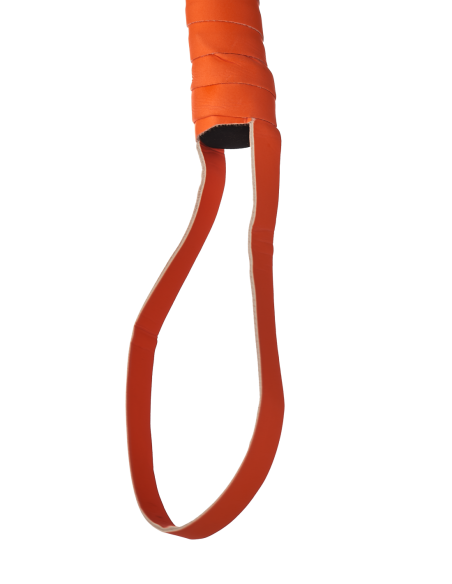 LÁTIGO RADIANTE QUE BRILLA EN EL NARANJA OSCURO