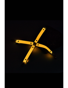 CORBATA DE CERDO RADIANTE QUE BRILLA EN NARANJA OSCURO 2