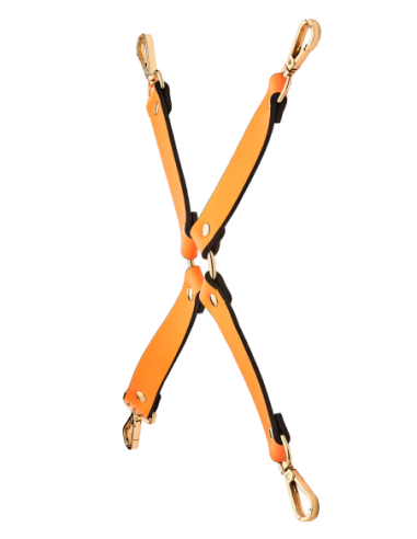 CORBATA DE CERDO RADIANTE QUE BRILLA EN NARANJA...