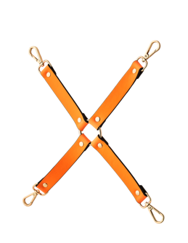 CORBATA DE CERDO RADIANTE QUE BRILLA EN NARANJA...