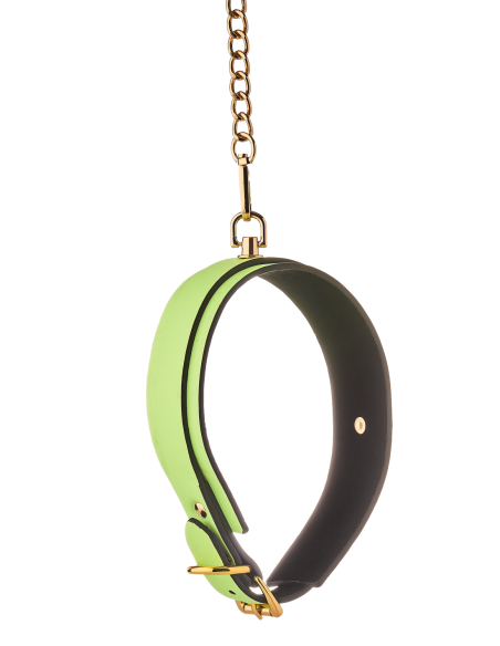 COLLAR Y CORREA RADIANTE QUE BRILLAN EN VERDE OSCURO