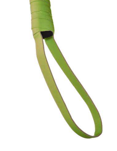 LÁTIGO RADIANTE QUE BRILLA EN EL VERDE OSCURO