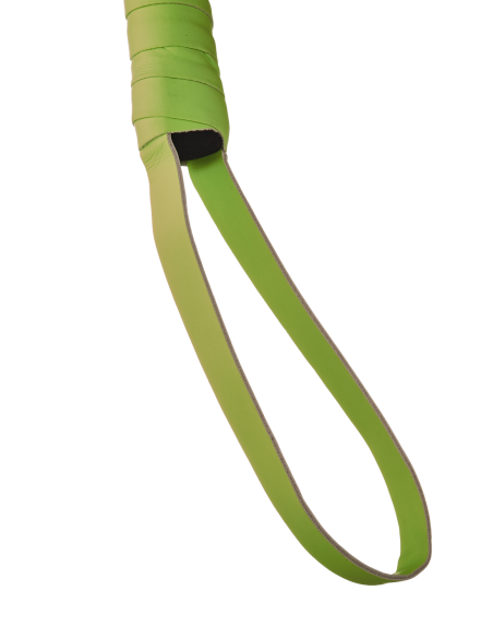 LÁTIGO RADIANTE QUE BRILLA EN EL VERDE OSCURO
