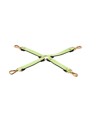 CORBATA DE CERDO RADIANTE QUE BRILLA EN VERDE...