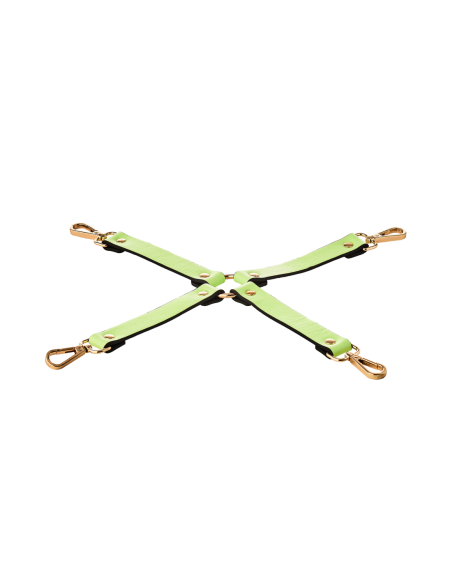 CORBATA DE CERDO RADIANTE QUE BRILLA EN VERDE OSCURO