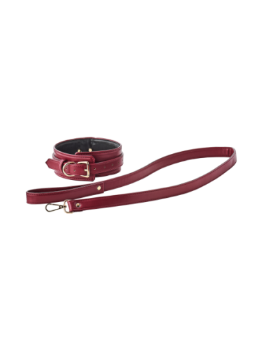 COLLAR Y CORREA BLAZE ELITE ROJO