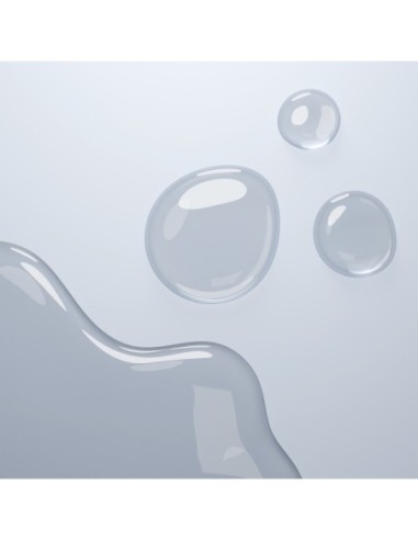 CBL COBECO BODYLUBE A BASE DE AGUA 1000ML