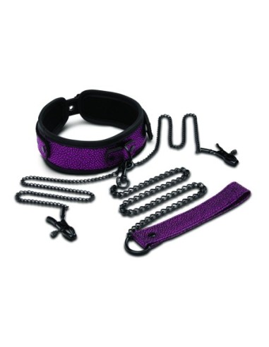 WHIPSMART DRAGON'S LAIR COLLAR, LEASH & NIPPLE CLIPS SET