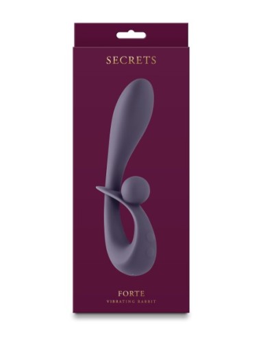 SECRETS GRIS FORTE