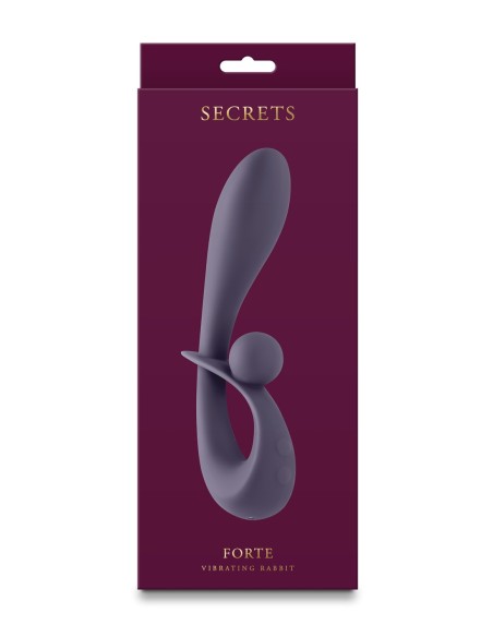 SECRETS GRIS FORTE