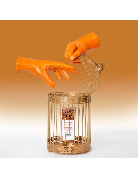 EXSENS ACEITE DE MASAJE ORGÁNICO OJO DE TIGRE MACADAMIA 100ML