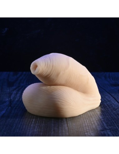 GENDER X LA LUZ DEL EMPACADOR INCIRCUNCIDADO