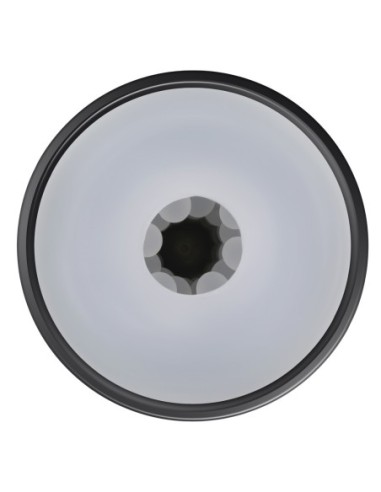 PLAYBOY THE URGE SMALL