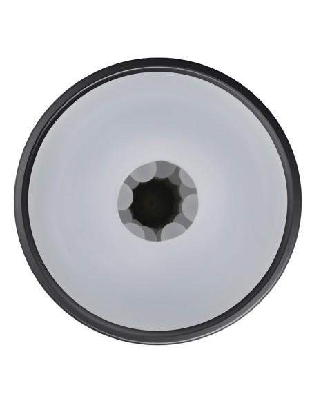 PLAYBOY EL IMPULSO PEQUEÑO