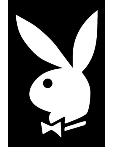 PLAYBOY VIBRADOR DE BALA