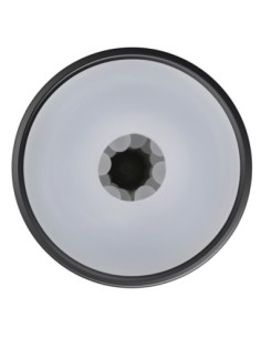 PLAYBOY EL IMPULSO GRANDE 2