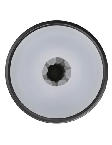 PLAYBOY EL IMPULSO GRANDE