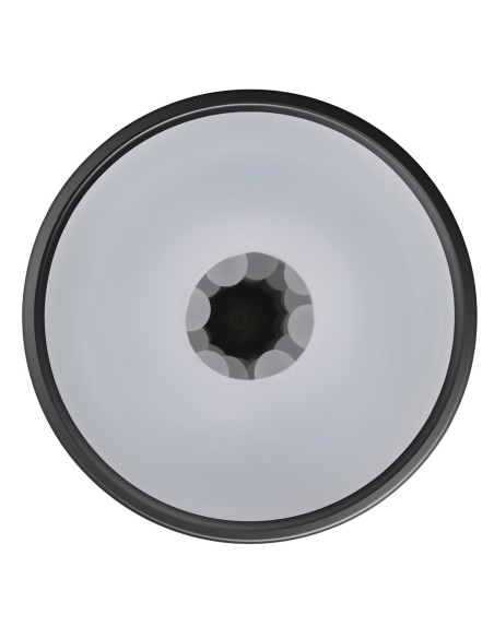 PLAYBOY THE URGE LARGE