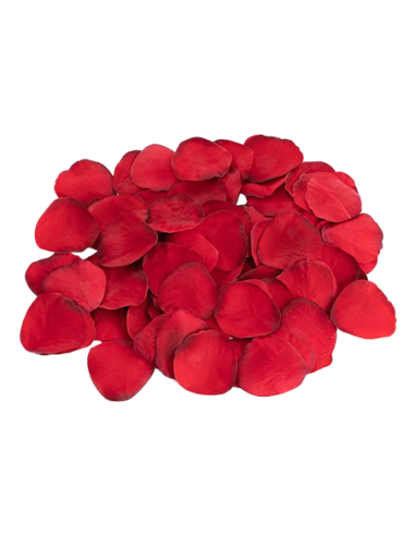 AMOUR LA PASIÓN DEL AMOR SEDUCTOR KIT ANAL