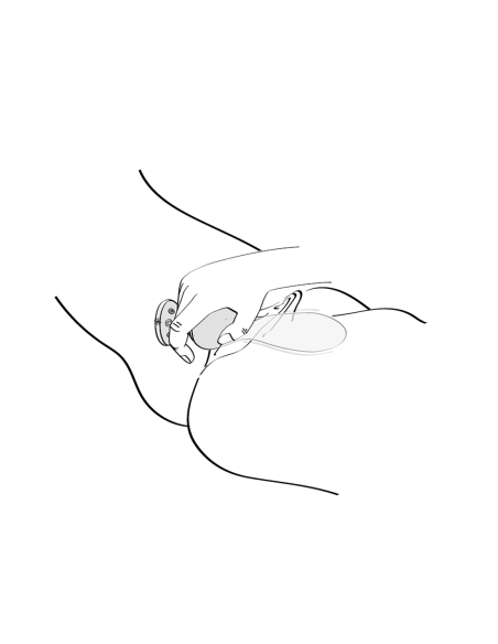 SHUNGA SANYA FRAMBUESA