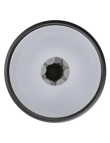 PLAYBOY THE URGE MEDIUM