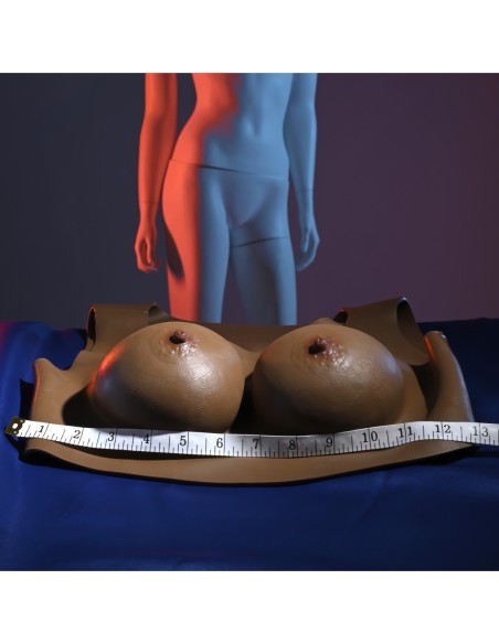 GENDER X ROPA INTERIOR - PLATO C-CUP OSCURO