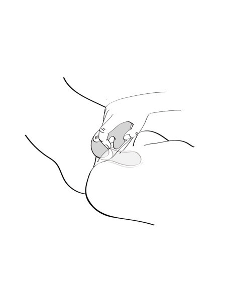 SHUNGA SOYO FRAMBUESA