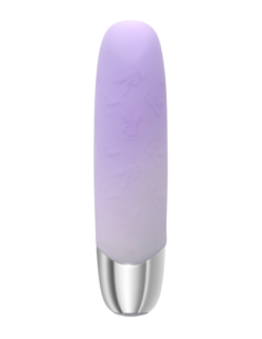 PLAYBOY BUNNY BUNCH 2