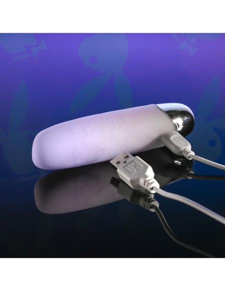 PLAYBOY GRUPO DE CONEJITOS