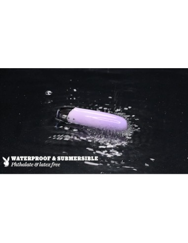 PLAYBOY GRUPO DE CONEJITOS