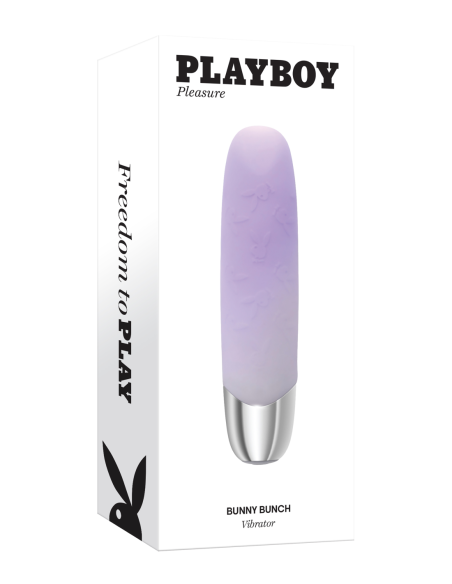 PLAYBOY GRUPO DE CONEJITOS