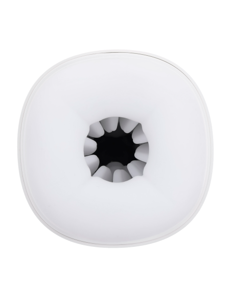 PLAYBOY GIRO Y TRAZO