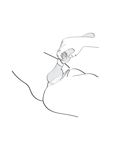 SHUNGA ZOA FRAMBUESA