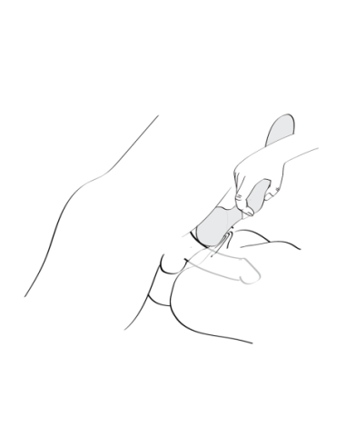 SHUNGA ZOA ROSA CLARO