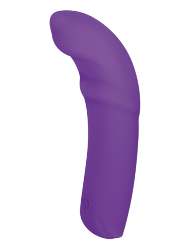 NMC 5 INCH SILICONE 10 FUNCTION VIBRATOR PURPLE